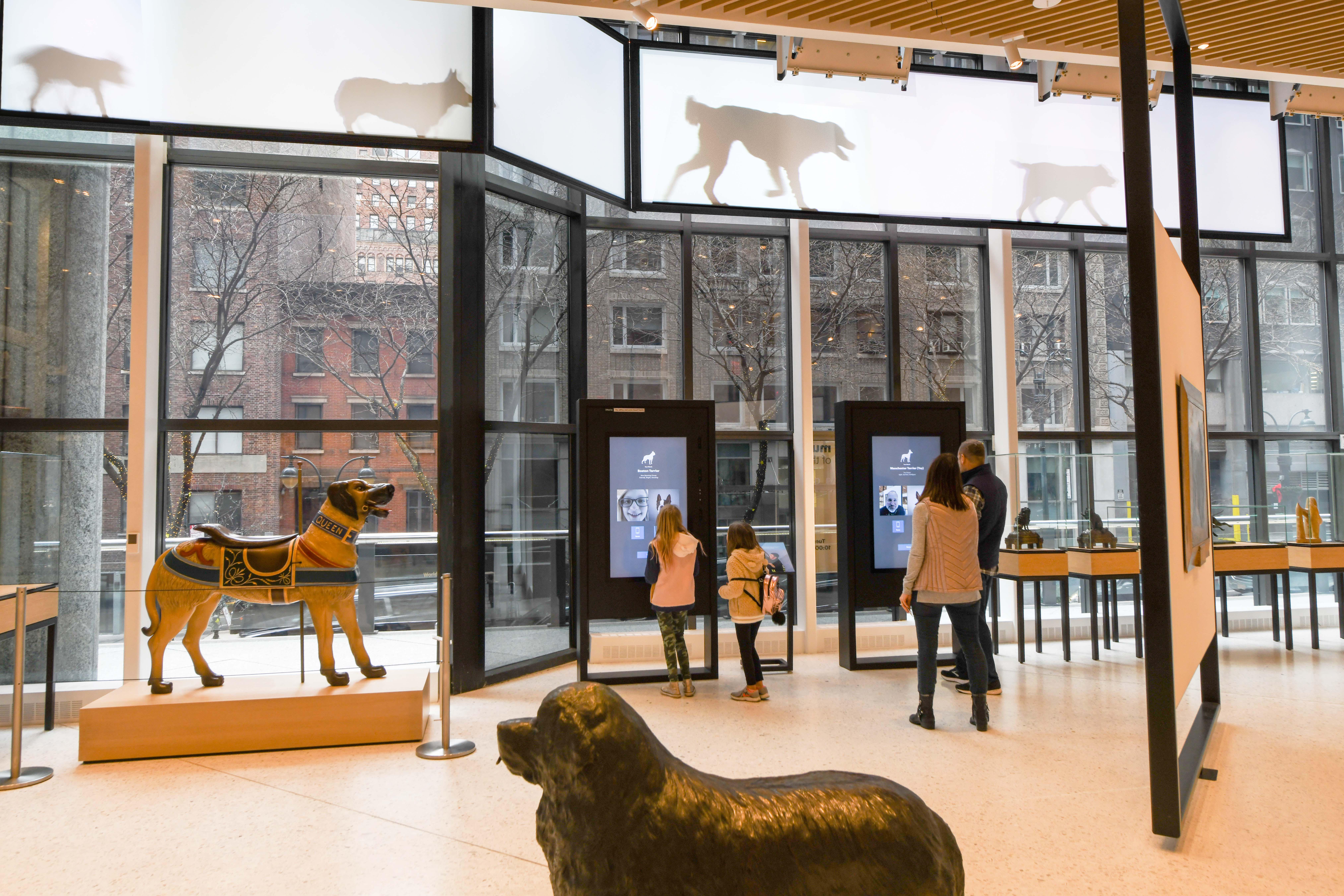 Museum of Dog Family Case Study